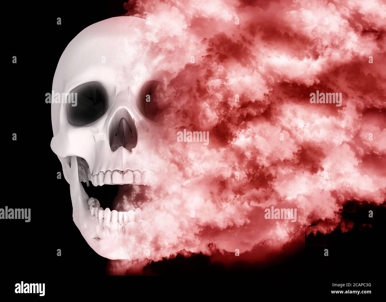 Cráneo envuelto en las nieblas del tiempo - 3D Foto de stock