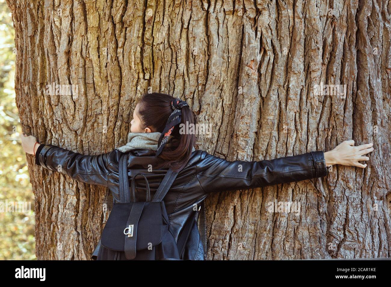 Mujer abrazando enorme tronco de árbol. Árbol perenne. Poder de la naturaleza, ecología. Vista posterior Foto de stock