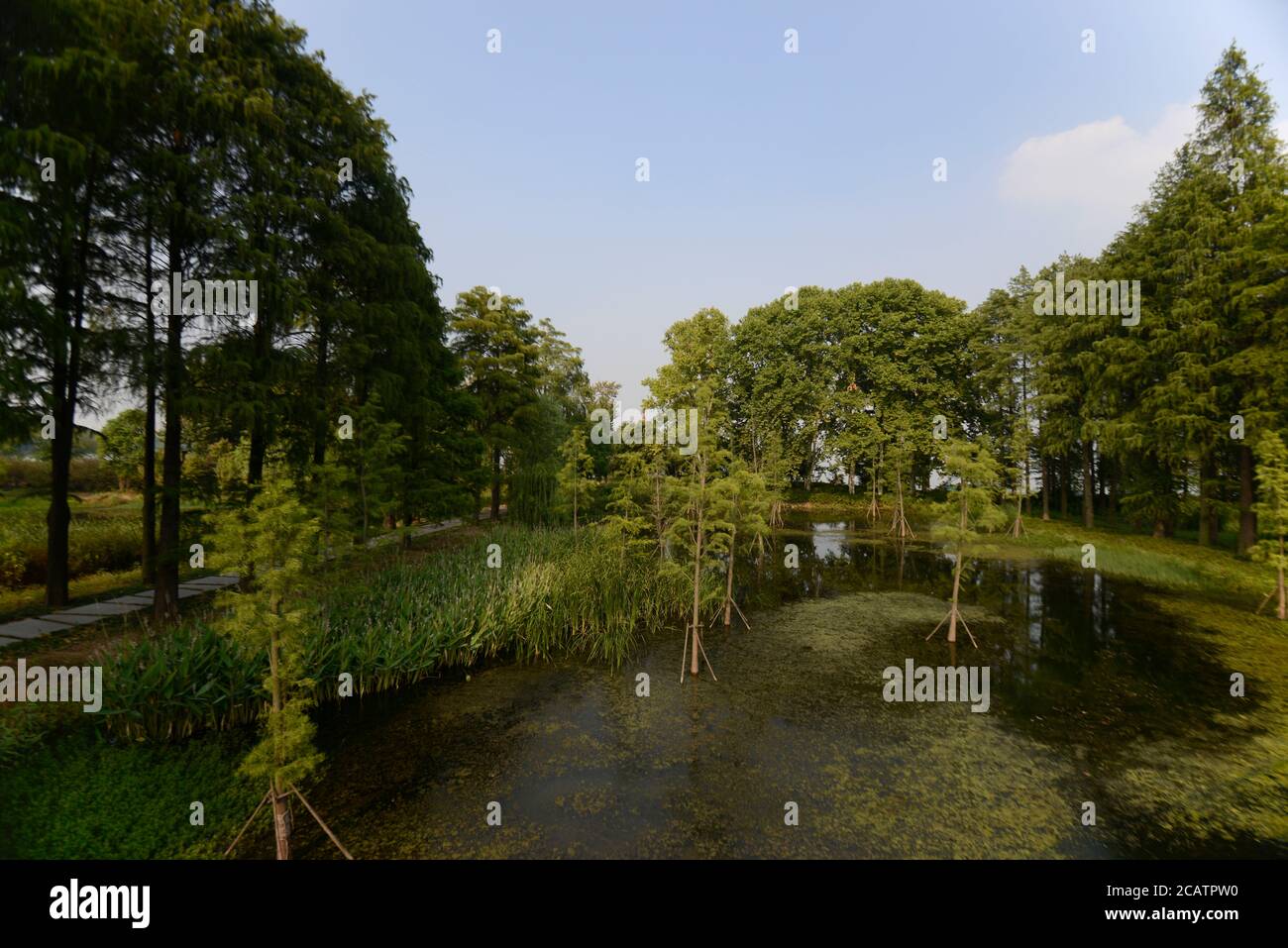 East Lake Causeway, Wuhan, China Foto de stock