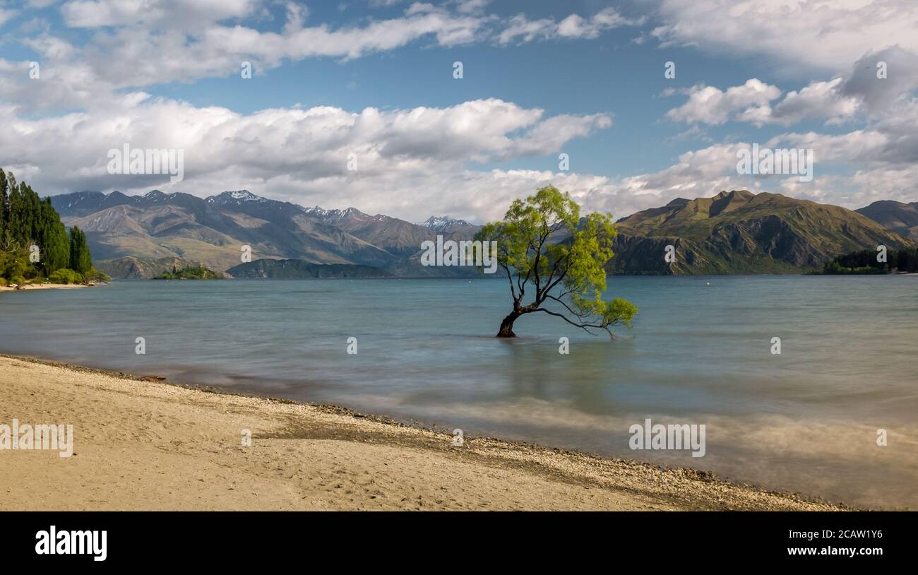 Vista panorámica del famoso árbol Wanaka con montañas circundantes Foto de stock