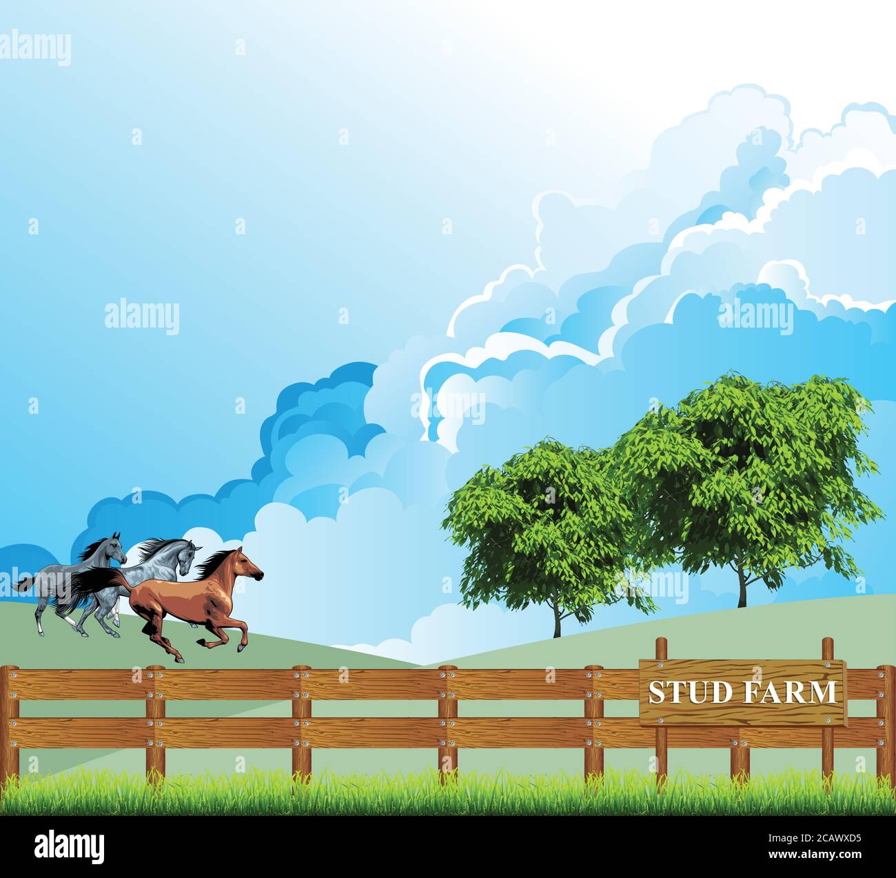 Pintoresca escena rural con caballos corriendo a través de un paddock en una granja de cría de sementales contra un cielo azul nublado Ilustración del Vector