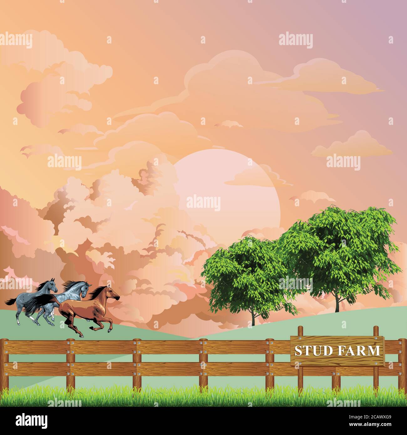 Pintoresca escena rural con caballos corriendo a través de un paddock en una granja de cría de sementales contra un amanecer o el cielo al atardecer Ilustración del Vector