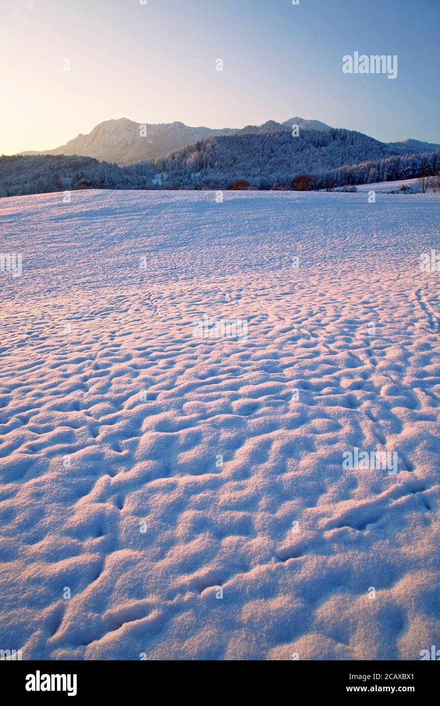 Geografía / viajes, Alemania, Baviera, Grossweil, paisaje de invierno, Grossweil, Herzogstand (pico), Werd, Derechos adicionales-liquidación-Info-no-disponible Foto de stock