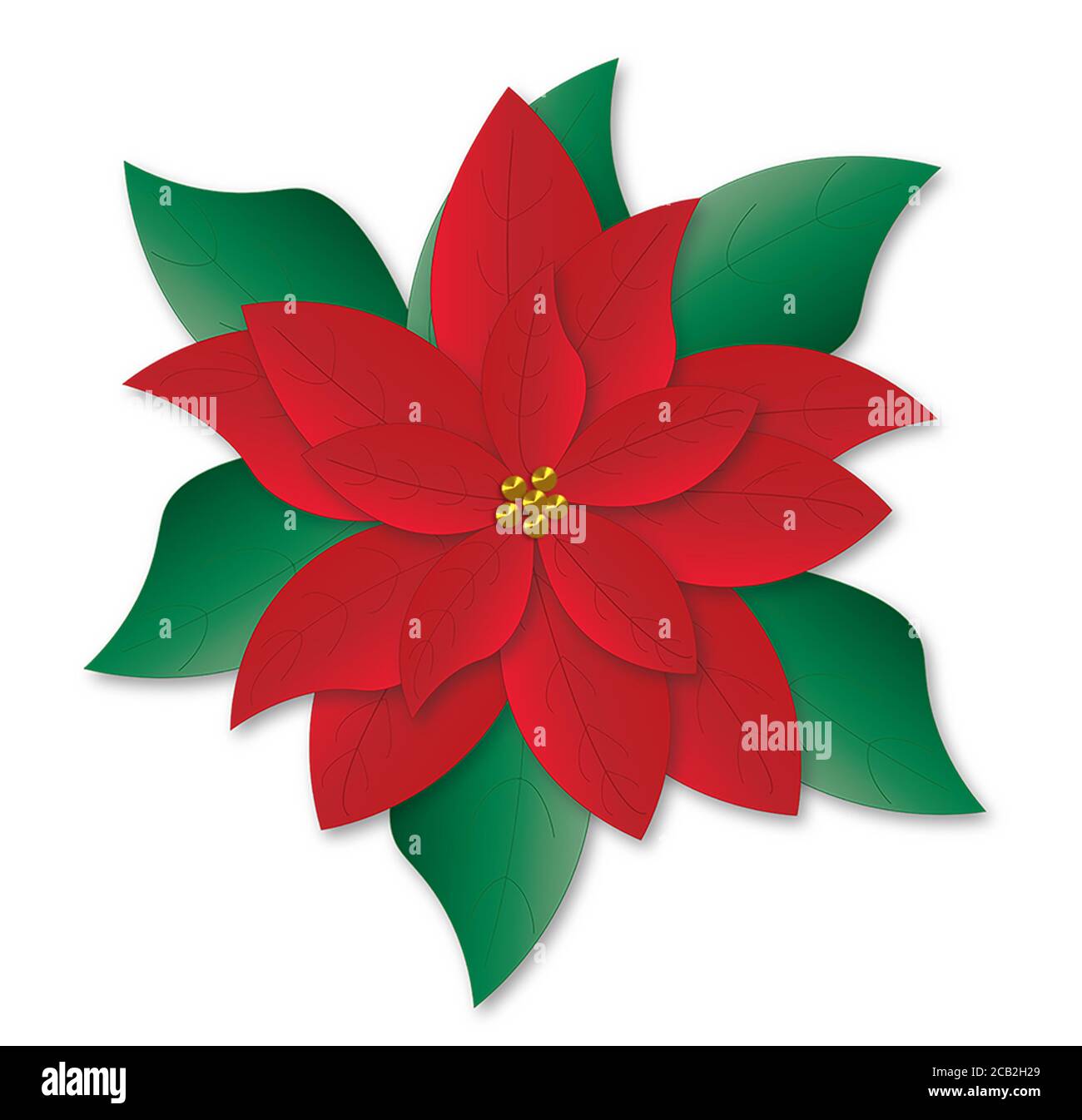 Nochebuena flor ilustraciã³n Imágenes recortadas de stock - Alamy