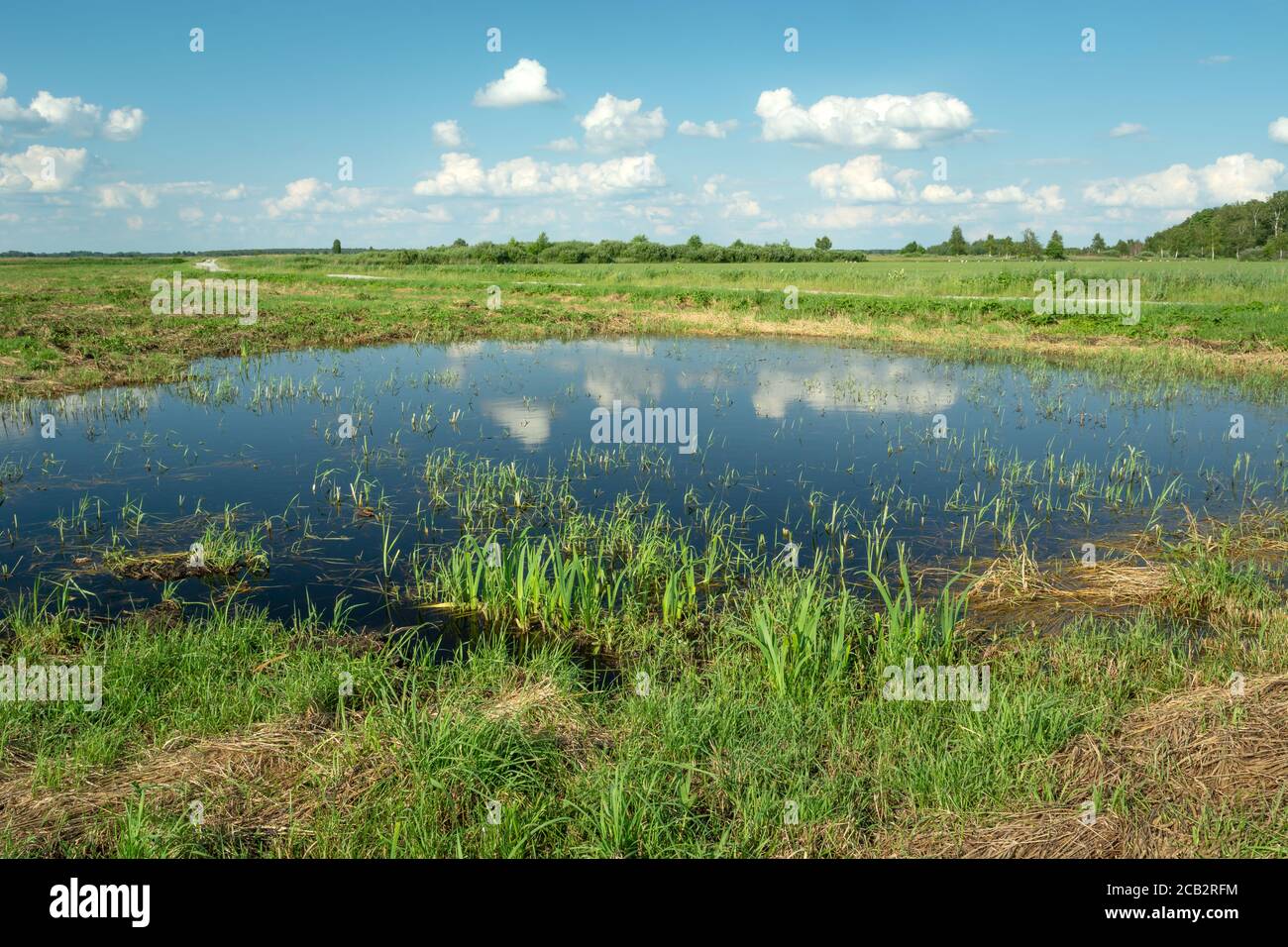 El reflejo de las nubes en el agua de la pradera Foto de stock