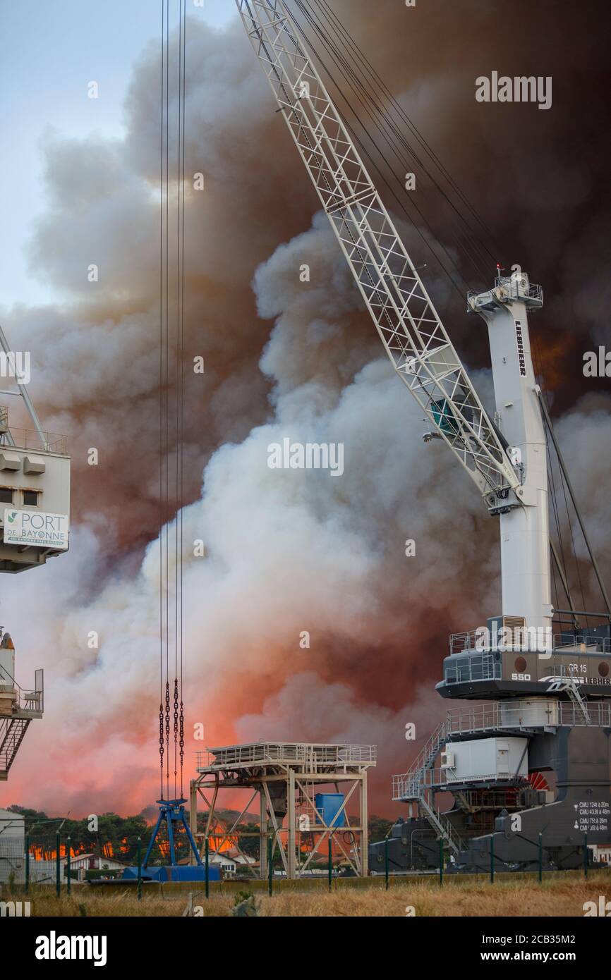 El incendio forestal Chiberta que ocurrió el 2020 de julio de 30 (Francia) visto desde el mirador del puerto de Bayona. Fuego salvaje. Blaze. Foto de stock