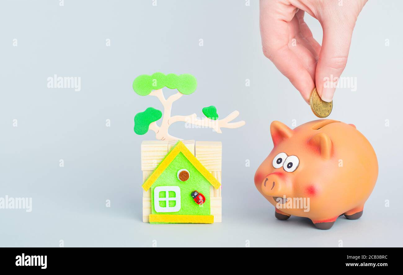 Una mano poniendo una moneda en un banco de palomas y una casa con un árbol. Foto de stock