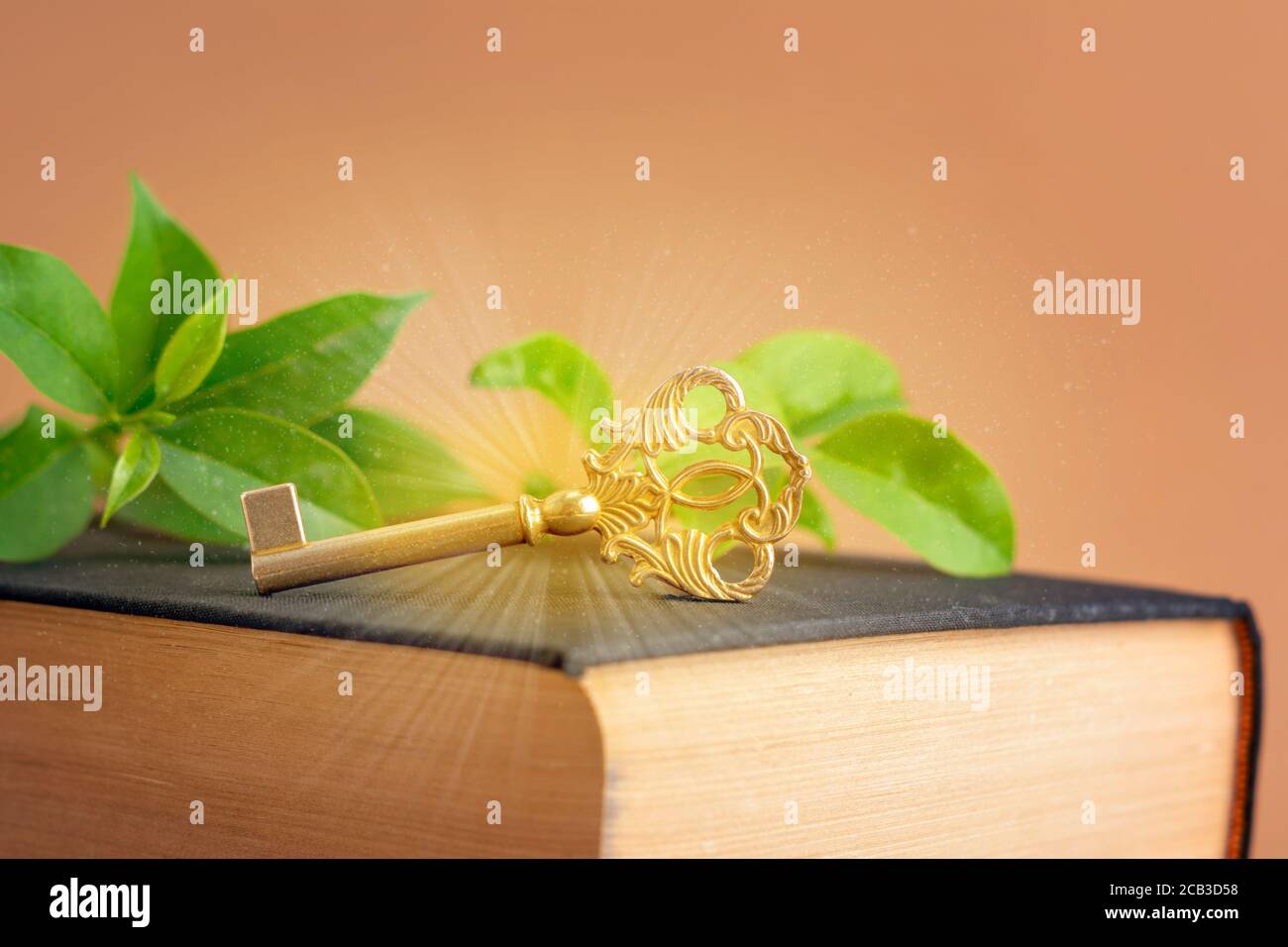 Llave de luz fotografías e imágenes de alta resolución - Alamy