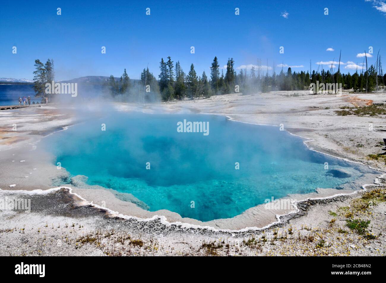 Géiser burbujeante en el Parque Nacional de Yellowstone Foto de stock