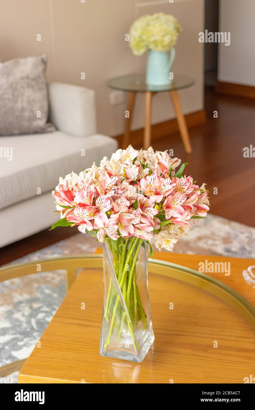 Astromeliads arreglos florales en una bonita sala de estar Fotografía de  stock - Alamy