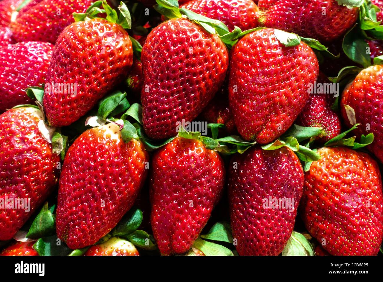 Fresas frescas en una red de plástico libre en una encimera de cocina  Fotografía de stock - Alamy