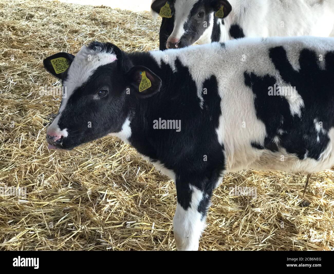 Etiquetado en inglés fotografías e imágenes de alta resolución Alamy