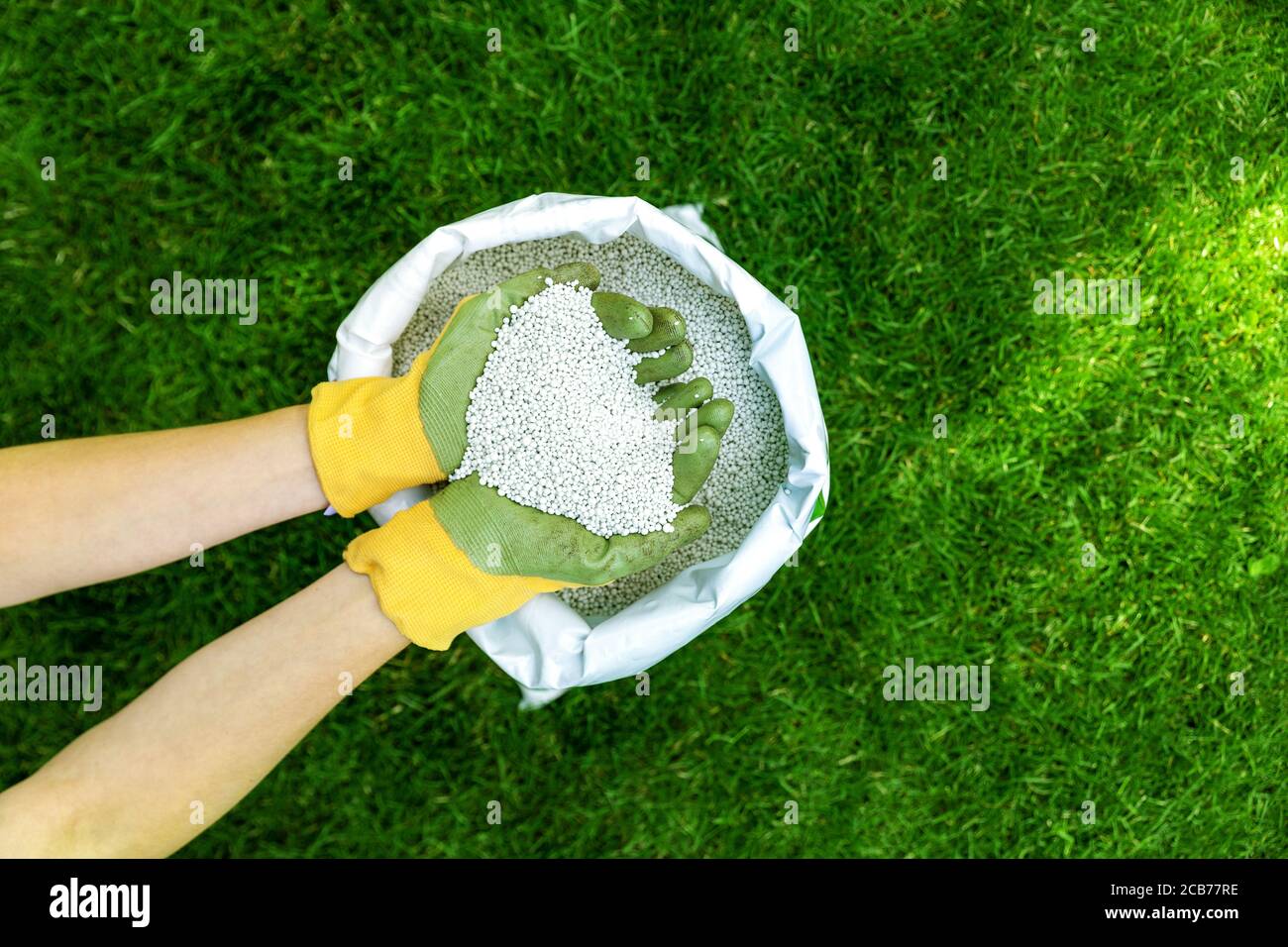 alimentando el césped con el fertilizante granular para la hierba verde perfecta Foto de stock