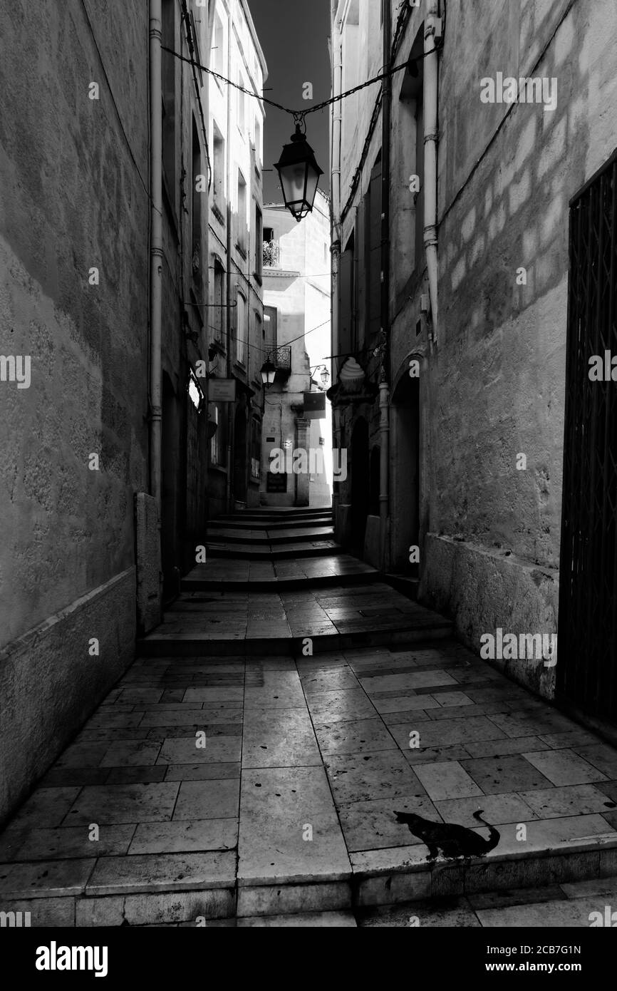 Alguien ha pintado un gato negro en un paso de este callejón en Montpellier, Francia. Los estrechos callejones son típicos del centro histórico de la ciudad. Foto de stock