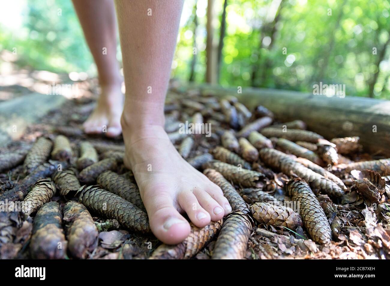 Niño caminando descalzo en Kneipp Cure cuenca llena de conos, un sendero temático en Egelsee, Austria Foto de stock