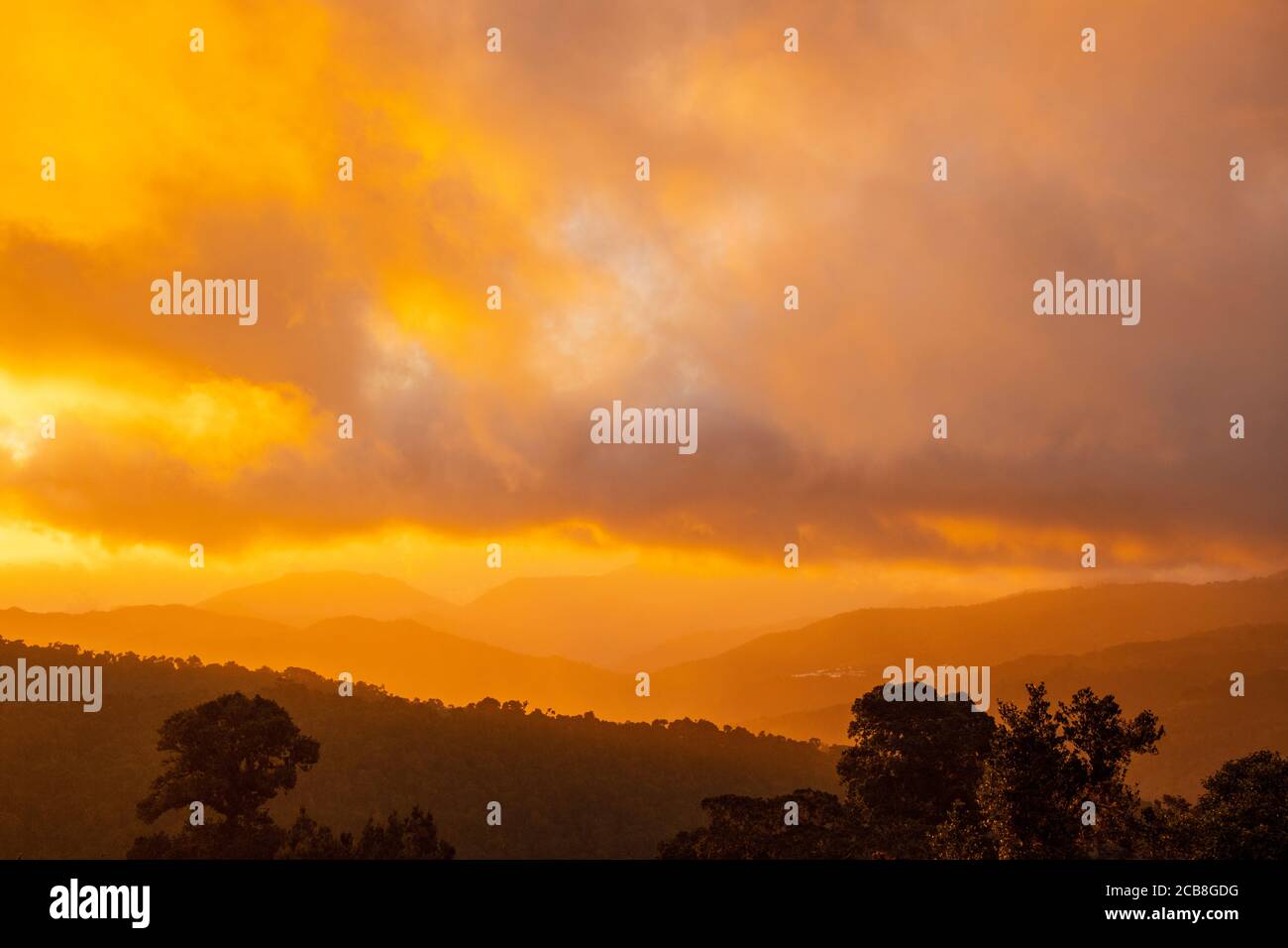 Montañas de bosque nuboso al atardecer, Paraiso Quetzal, San José, Costa Rica Foto de stock