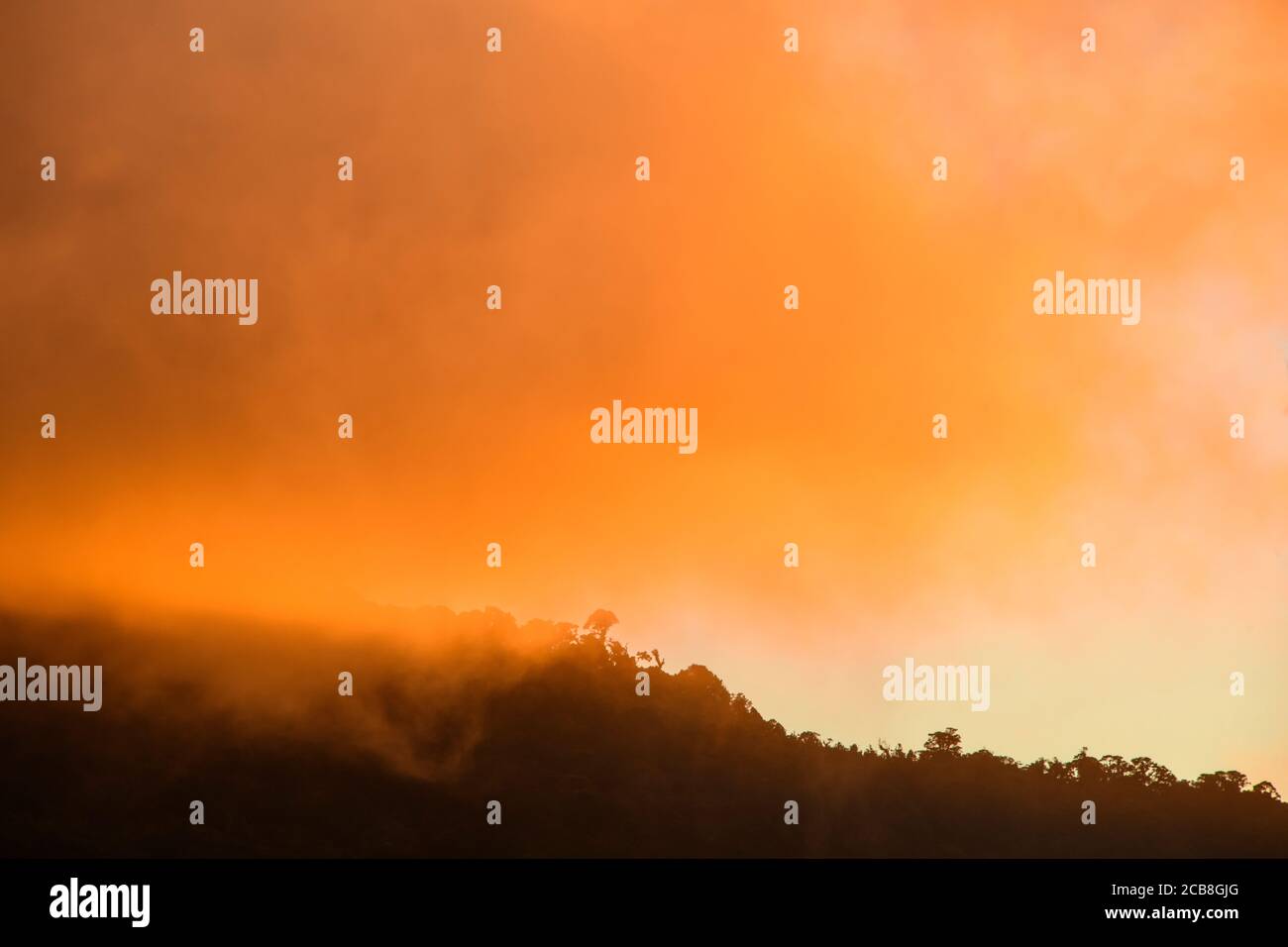 Montañas de bosque nuboso al atardecer, Paraiso Quetzal, San José, Costa Rica Foto de stock