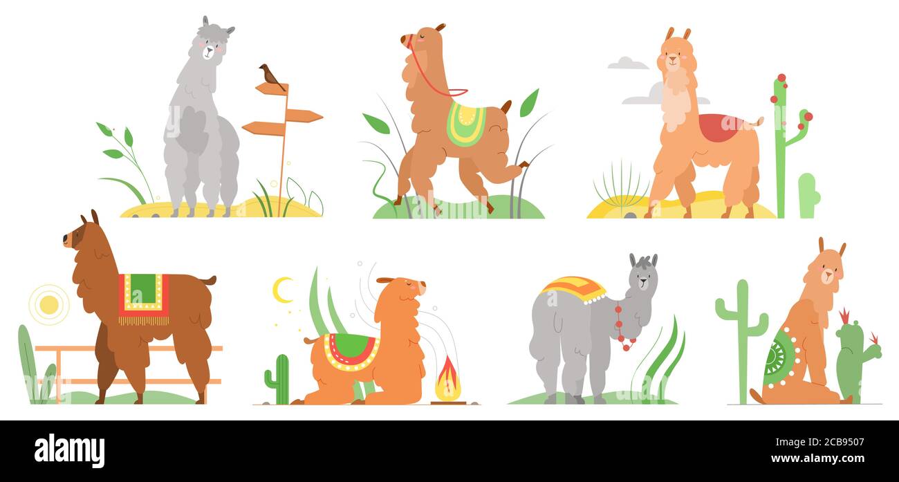 Dibujos animados lama vector plano. Lindos personajes de llamas alpaca sonriendo, caminando, saltando, durmiendo en Perú desierto paisaje con cactuses. Colección de animales de la llama divertida mexicana aislada sobre blanco Ilustración del Vector