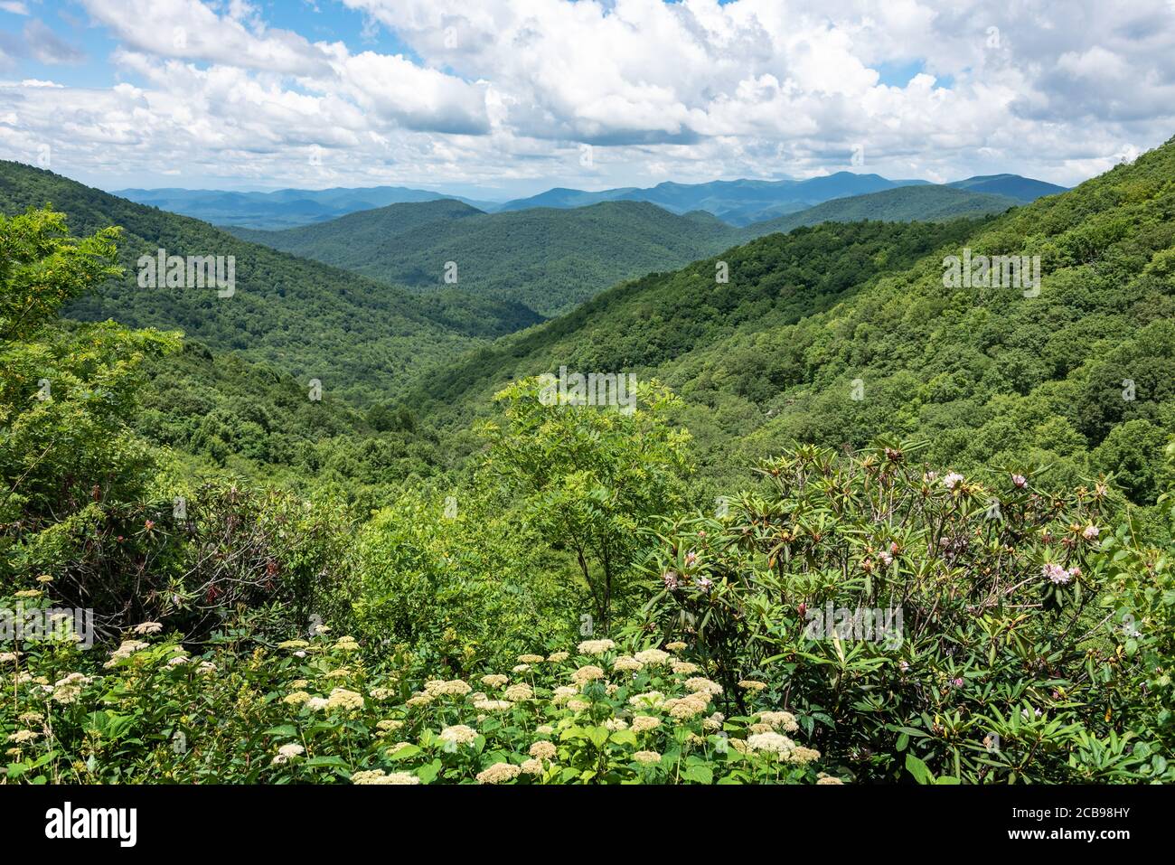 Vista de las Montañas Blue Ridge desde la autopista escénica Richard B. Russell en Hog Pen Gap entre Blairsville y Helen, Georgia. (EE.UU.) Foto de stock