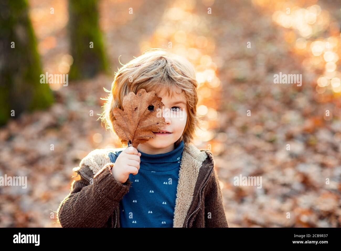 Niño cubre sus ojos con una hoja de arce amarilla. Niño jugando con hojas de otoño en el parque. Foto de stock