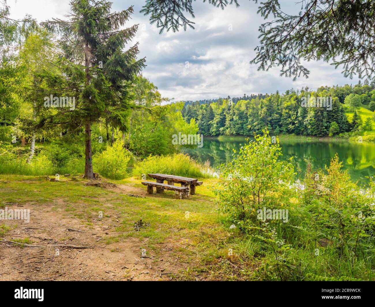 Fantásticas vistas vista Verde bosque bastante hermoso naturaleza natural preservada Ambiente Temporada de primavera en el lago Mrzla vodica en Croacia Europa Foto de stock