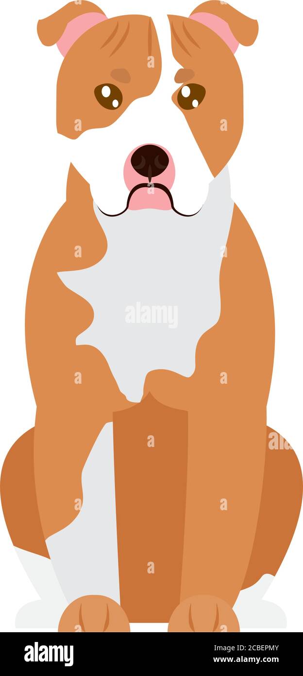 dibujo animado icono de perro pitbull sobre fondo blanco, estilo plano,  ilustración vectorial Imagen Vector de stock - Alamy