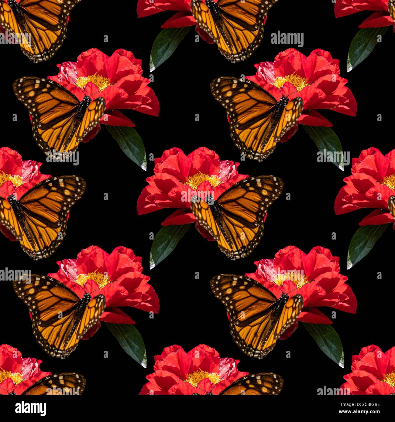 Mano Mariposa Empate Con La Flor Fotos, retratos, imágenes y fotografía de  archivo libres de derecho. Image 60235966