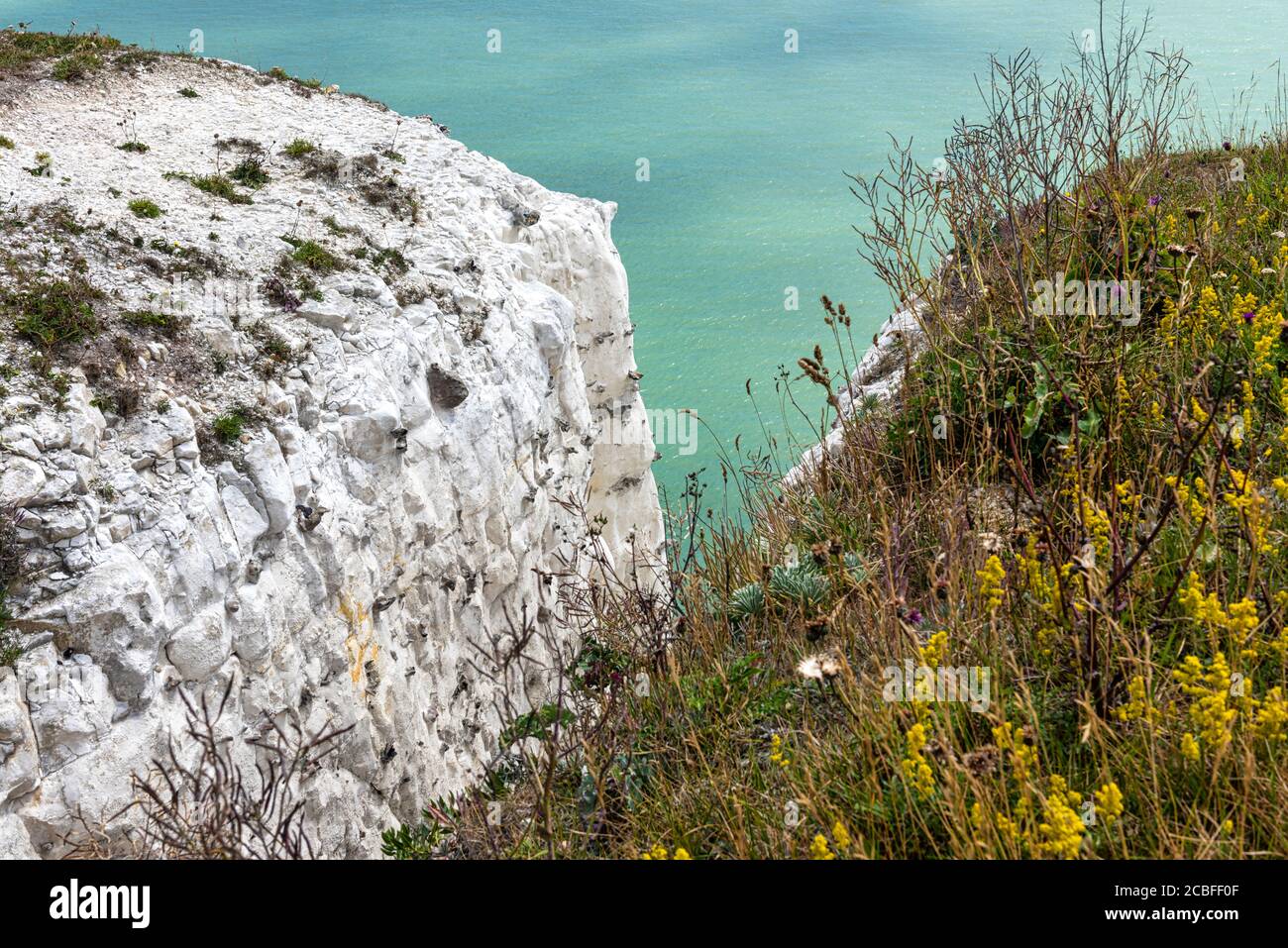 Los acantilados blancos de Dover y el Canal de la Mancha en Kent, Inglaterra Foto de stock