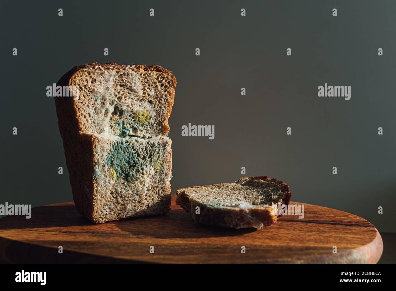 Molde sobre pan, un trozo de pan de centeno con molde blanco y verde. Mejor antes de la fecha ha expirado hace mucho tiempo con este alimento mohoso. Foto de stock