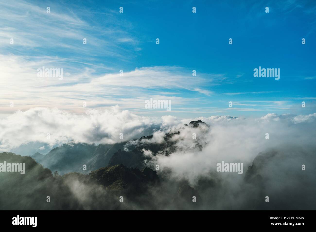 Hermosa vista de la cima de la montaña en la niebla. Escena dramática. Fantástico paisaje de montañas verdes. Foto de stock