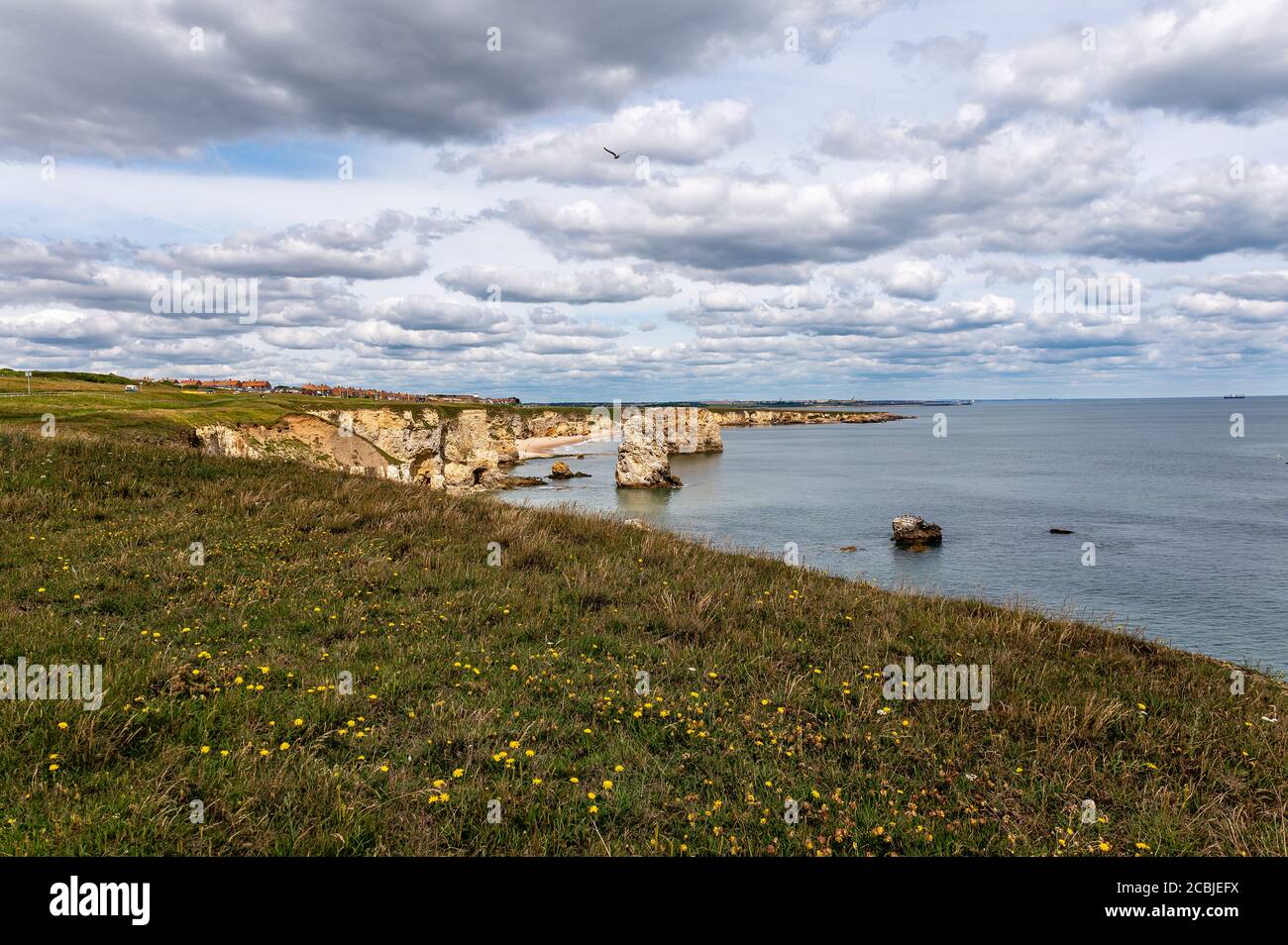 Marsden Rock, Marsden Bay, South Shields, Tyne and Wear, Reino Unido Foto de stock