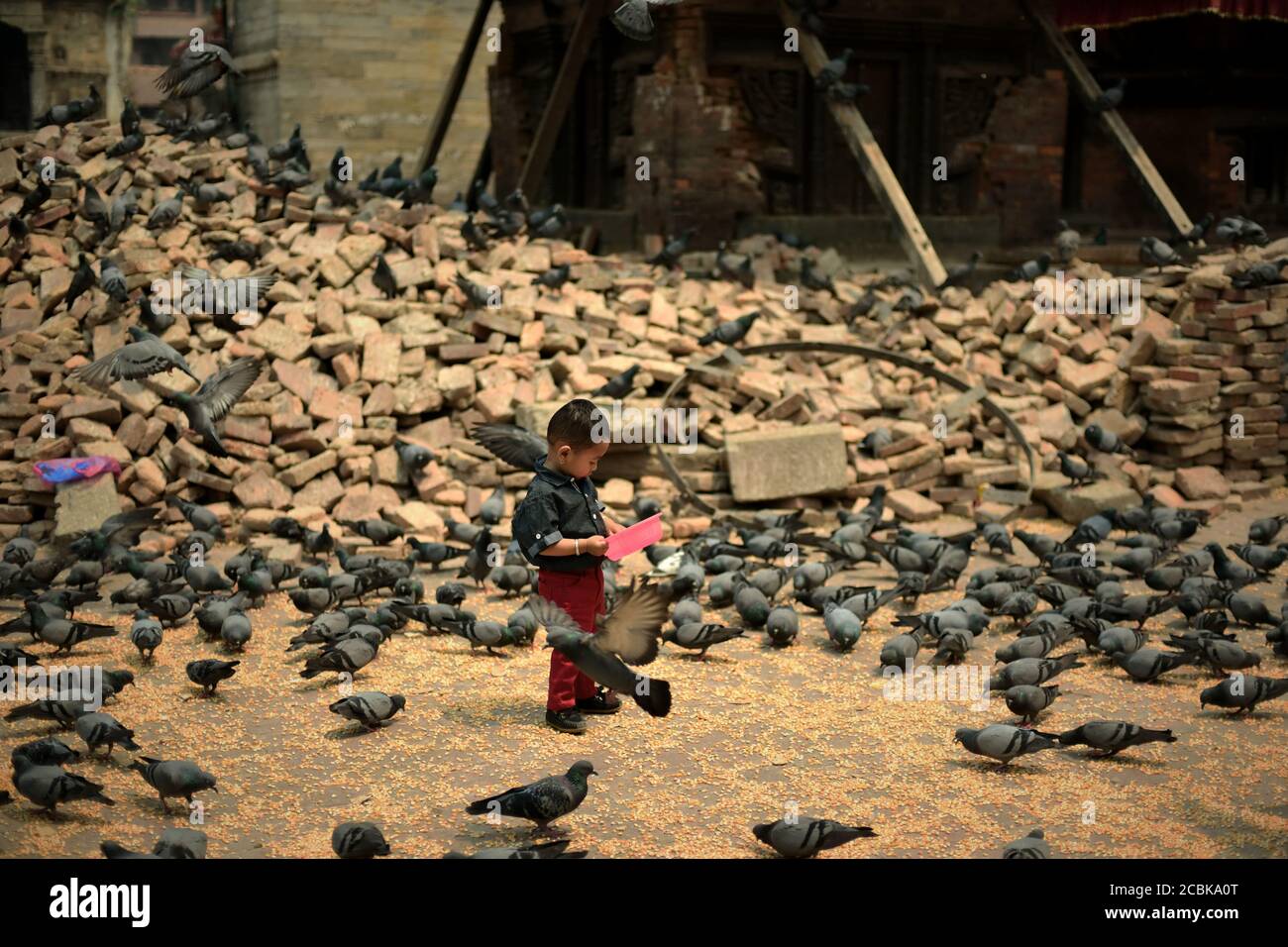 Un niño que tiene tiempo de recreación entre una pila de ladrillos y una manada de palomas en la Plaza Durbar de Katmandú, Katmandú, Nepal. Foto de stock
