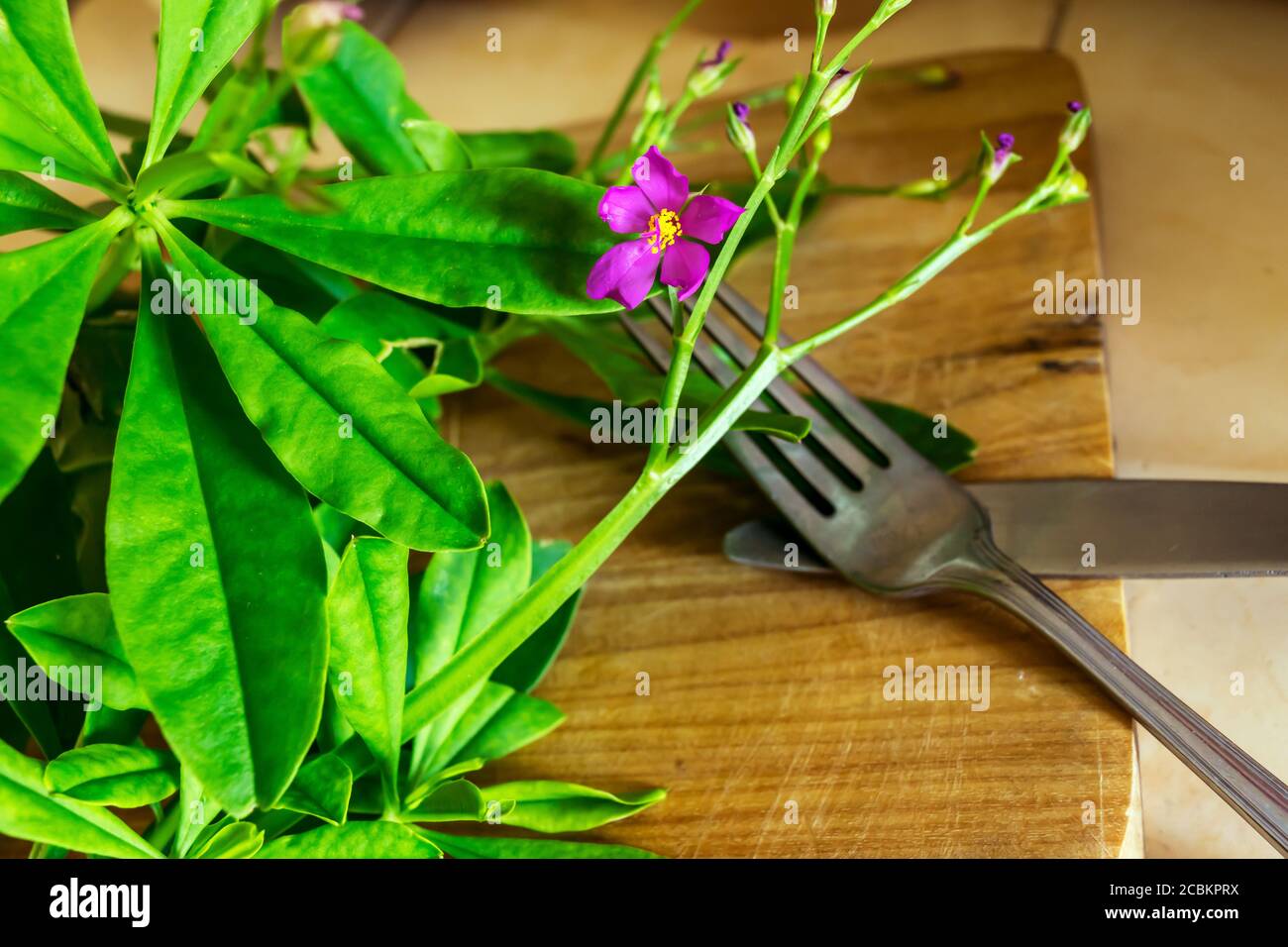 Hojas de espinaca y ramas en una mesa de madera en la cocina con un tenedor y un cuchillo cerca. Foto de stock