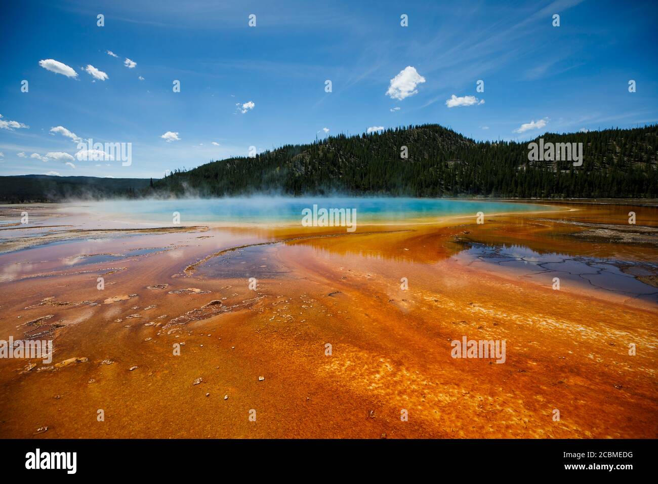 Las algas y las bacterias le dan a Grand Prismatic Spring sus impresionantes colores en el Parque Nacional de Yellowstone. Foto de stock