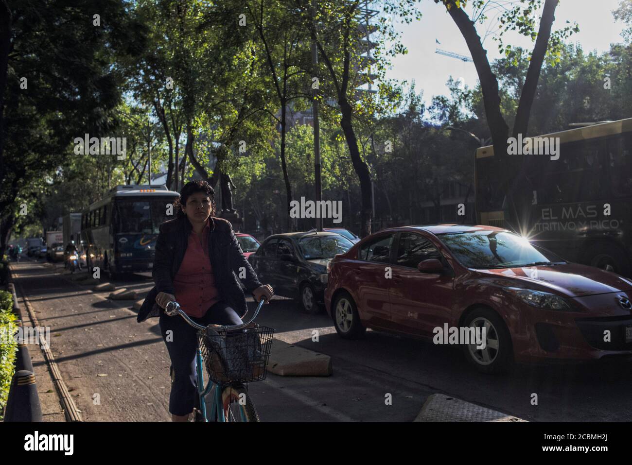 América del Norte - México, ciudad capital Ciudad de México: Una mujer que usa el carril bici a lo largo del Paseo de la Reforma durante su viaje por la mañana. Foto de stock