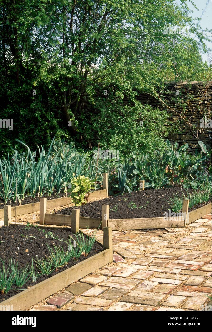 Jardín de verduras con camas elevadas de madera y pavimento de ladrillo Foto de stock