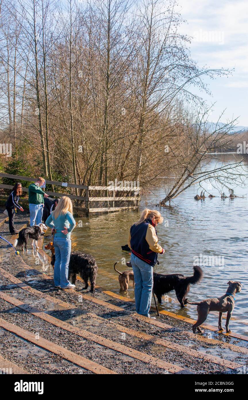 Parques para perros sin correa - Metro Parks Tacoma