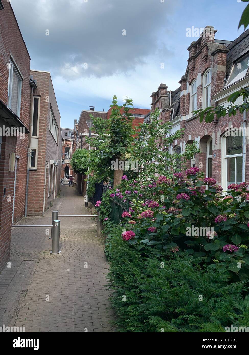 Calle peatonal estrecha con un pequeño jardín en la ciudad de Tilburg, países Bajos. Foto de stock