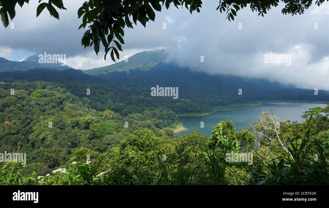 Vista al lago con denso bosque en las montañas Foto de stock