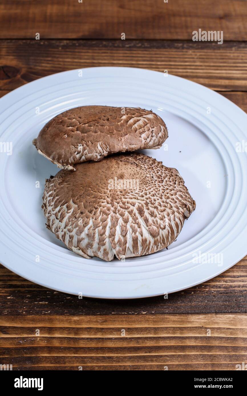 Dos portabella mushroom caps en la placa blanca. Foto de stock