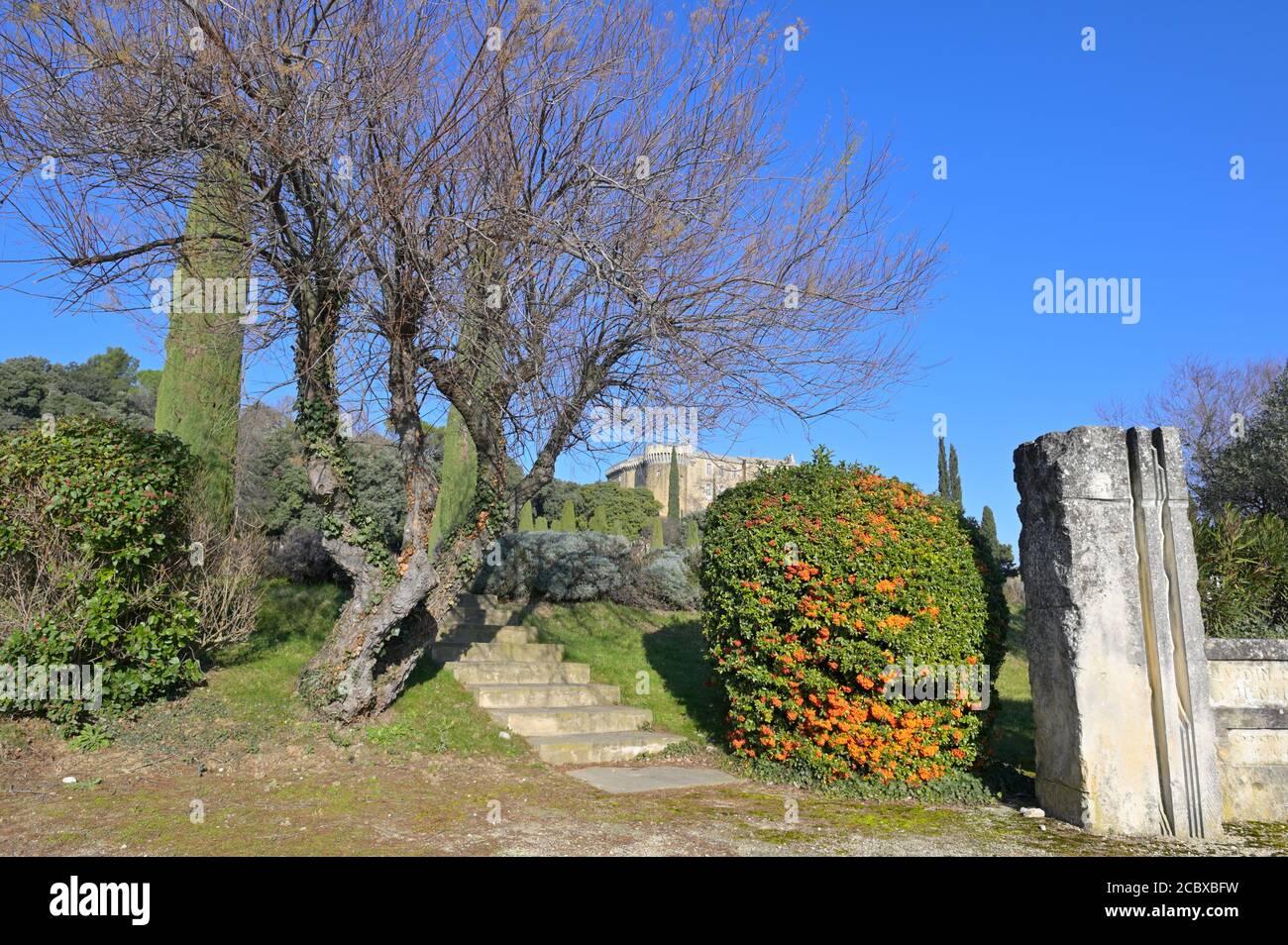El castillo medieval visto desde Jardin des Vignes, Suze-la-Rousse, Provenza FR Foto de stock