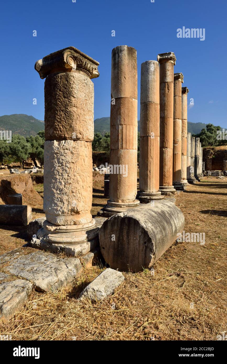 Turquía, antigüedades de ágora en el sitio arqueológico de Nysa Foto de stock