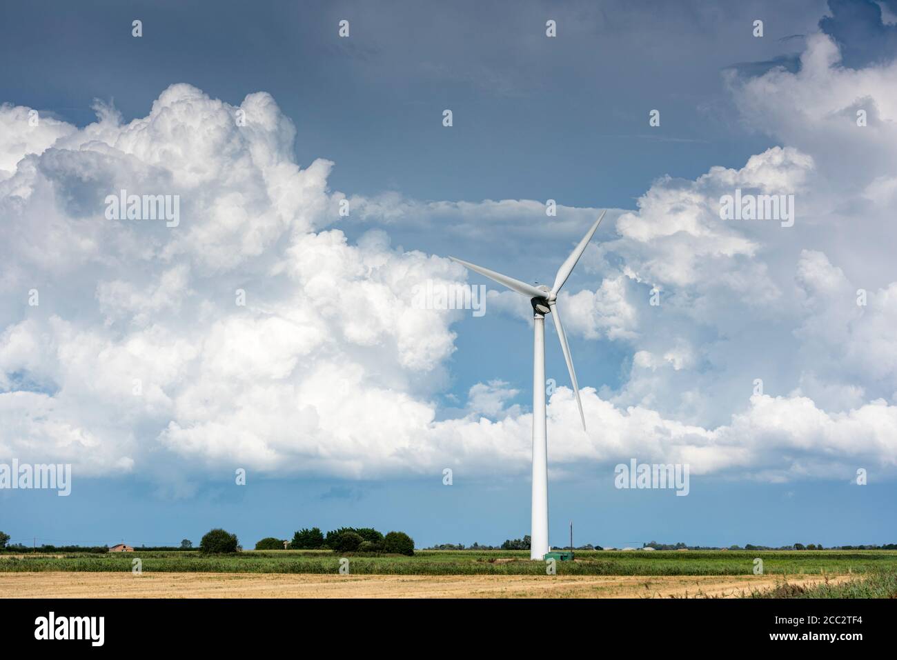 Chatteris Cambridgeshire, Reino Unido. 17 de agosto de 2020. El paisaje agrícola plano de los Fens de Cambridgeshire y los grandes cielos muestran espectaculares nubes de tormenta mientras las tormentas y duchas siguen afectando el clima de Anglia Oriental hoy en día. Crédito: Julian Eales/Alamy Live News Foto de stock