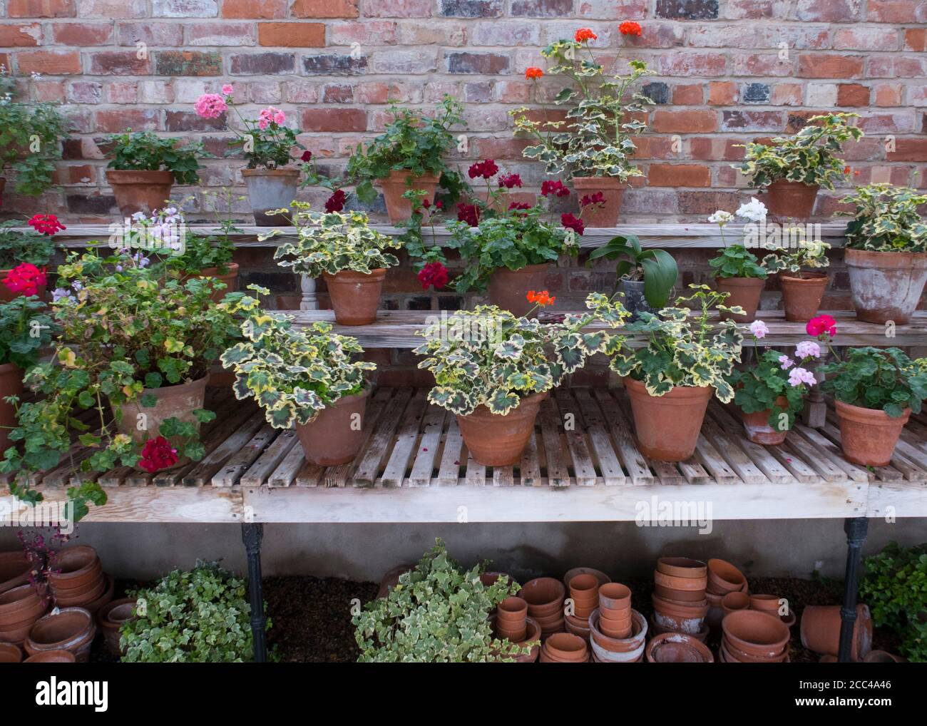 Selecciones de plantas de interior en Macetas decorativas Fotografía de  stock - Alamy