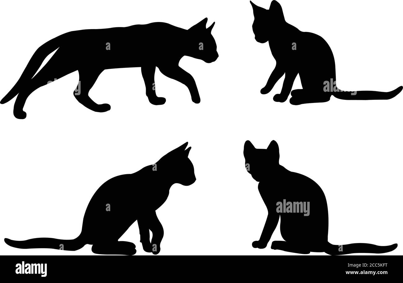 conjunto de siluetas de gato: ilustración vectorial Ilustración del Vector