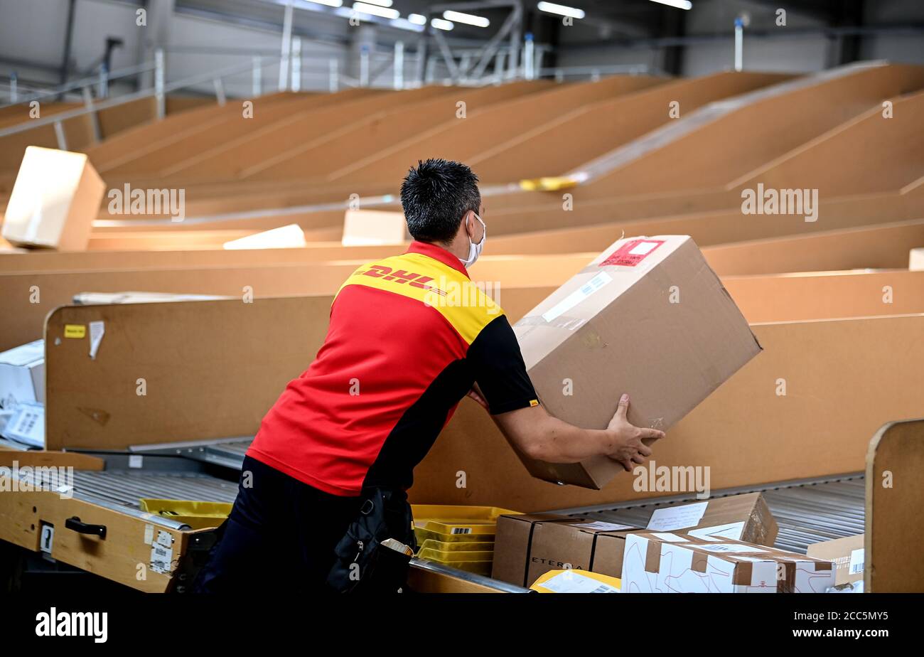 Berlín, Alemania. 19 de agosto de 2020. Un transportista de paquetes  explora los paquetes en la base de entrega de DHL en Marzahn. Crédito:  Britta Pedersen/dpa-Zentralbild/ZB/dpa/Alamy Live News Fotografía de stock -