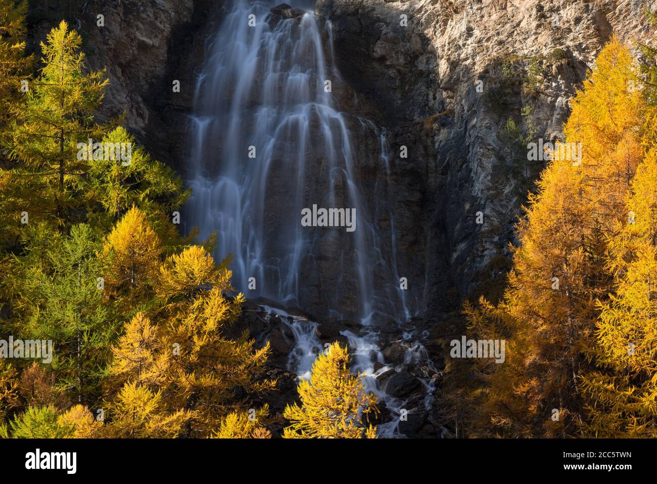 Cascada la pisse en otoño con árboles de alerce dorado en el Parque Natural Regional de Queyras. Ceillac, Altos Alpes, Alpes, Francia Foto de stock