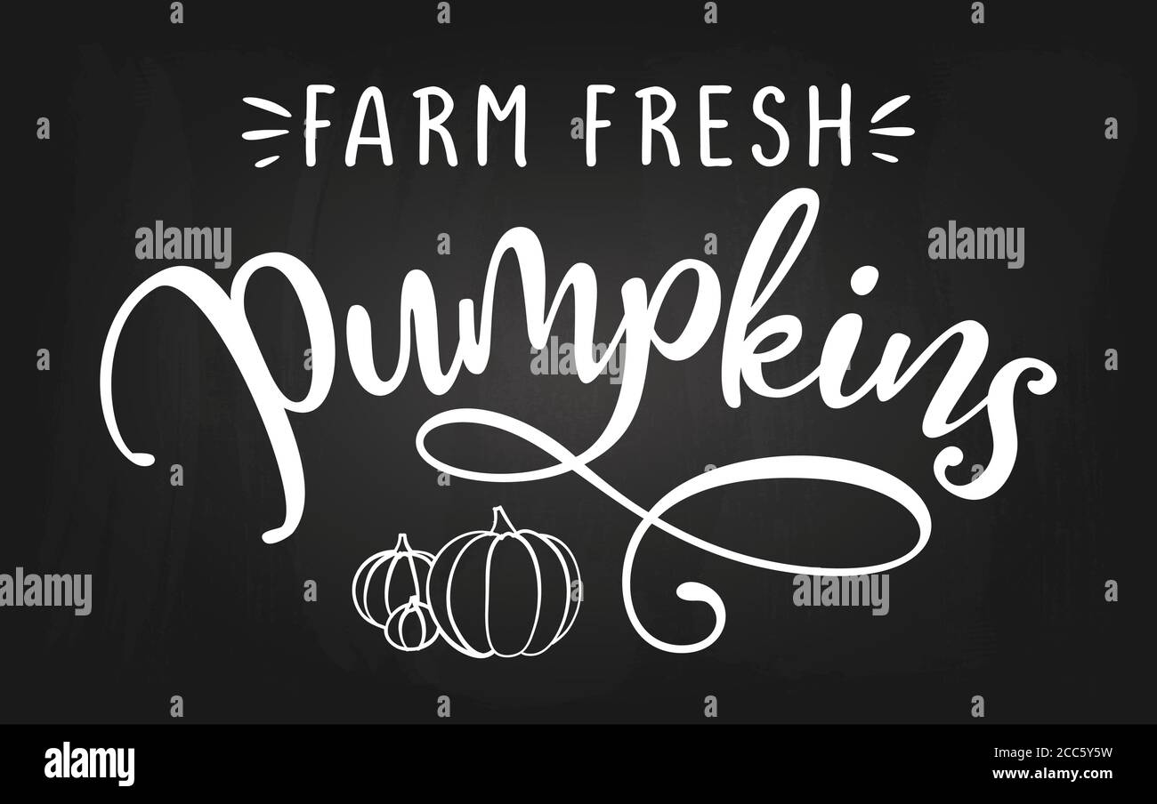 Farm Fresh Pumpkins - Diseño del festival Harvest Fall para mercados, restaurantes, volantes, tarjetas, invitaciones, pegatinas, banners. Pincel pintado a mano pluma cal Ilustración del Vector