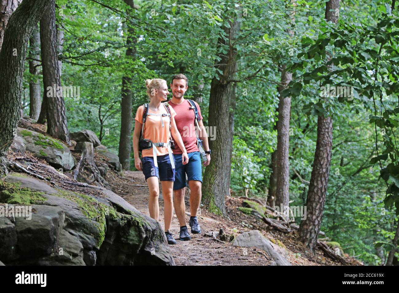 Jóvenes parejas de senderismo en el bosque Palatinado (Pälzerwald), Alemania Foto de stock