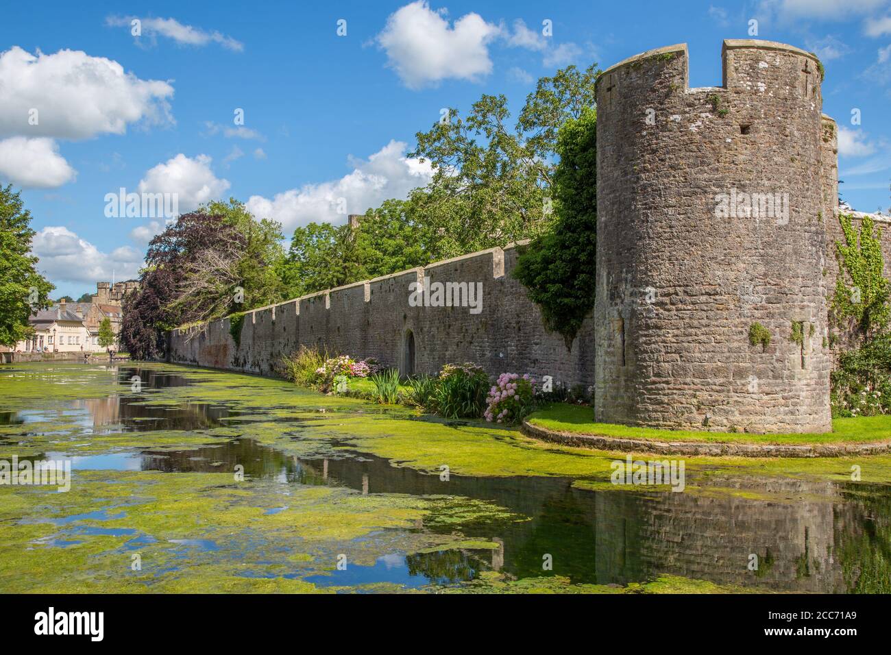 Muros almenados y foso del palacio de los obispos, Wells, Somerset Foto de stock